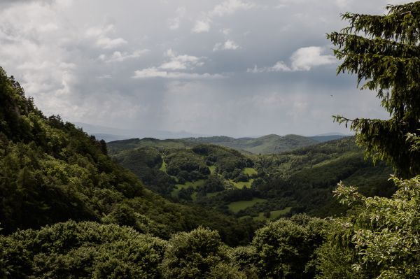 obrázok 2779 - Hotel Jason - Vršatské Podhradie - SVADBA